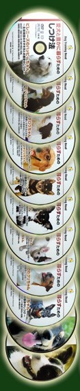 犬の状況により選べる犬のしつけＤＶＤ